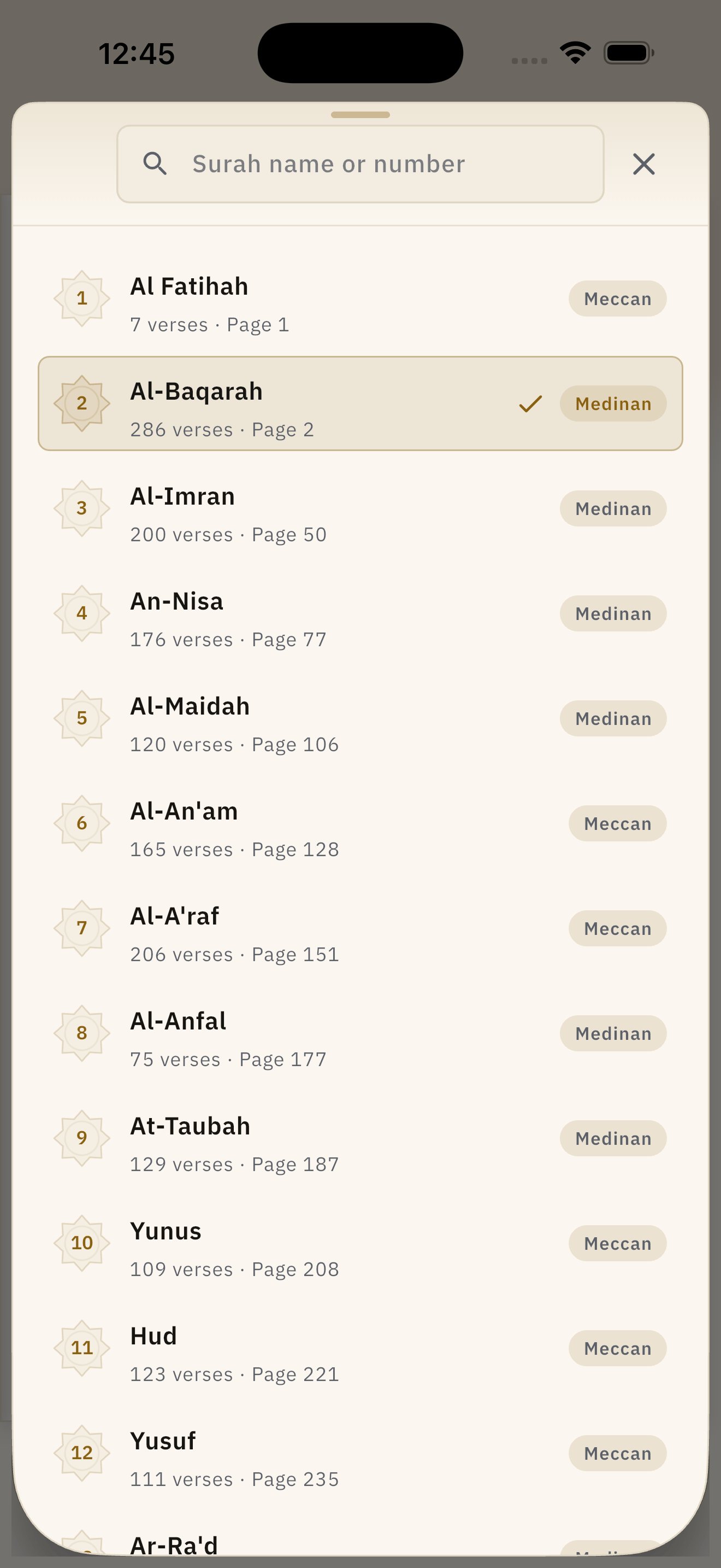 The surah list, each with its number, verse count, page, and whether it is Meccan or Medinan