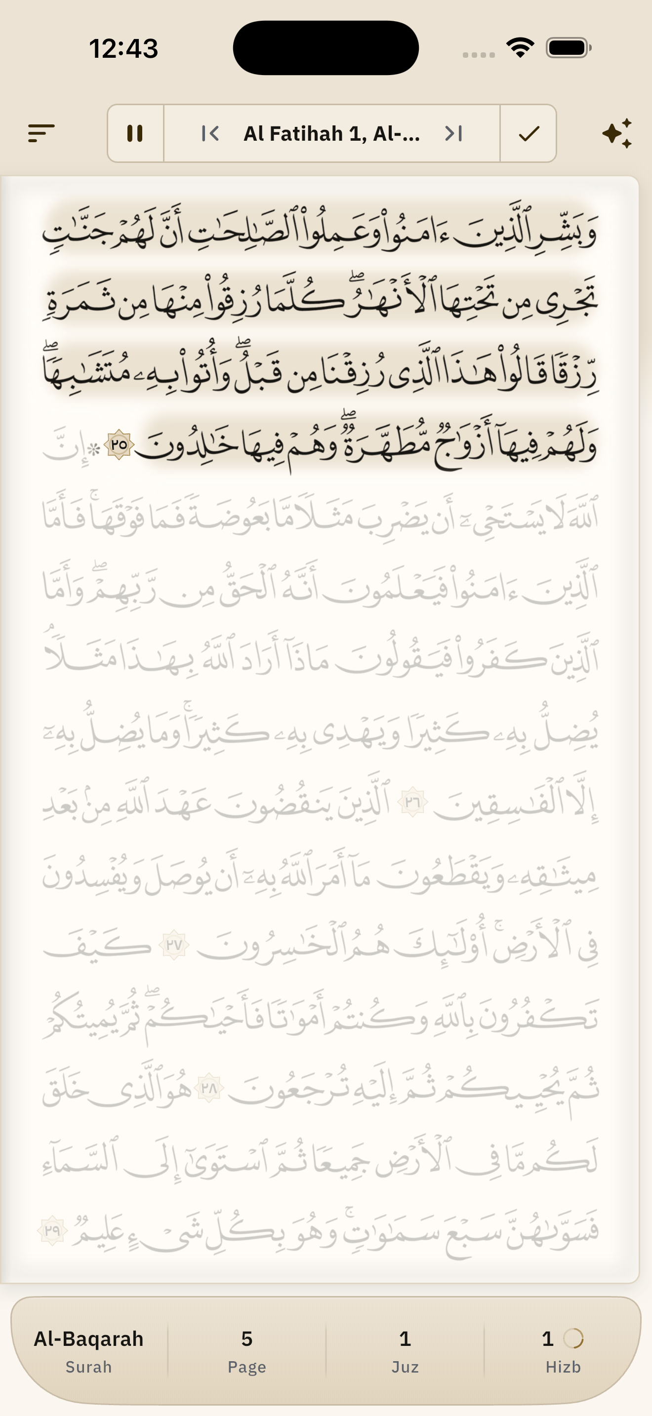 An open khatma session: today's portion in full ink, everything outside it faded beneath