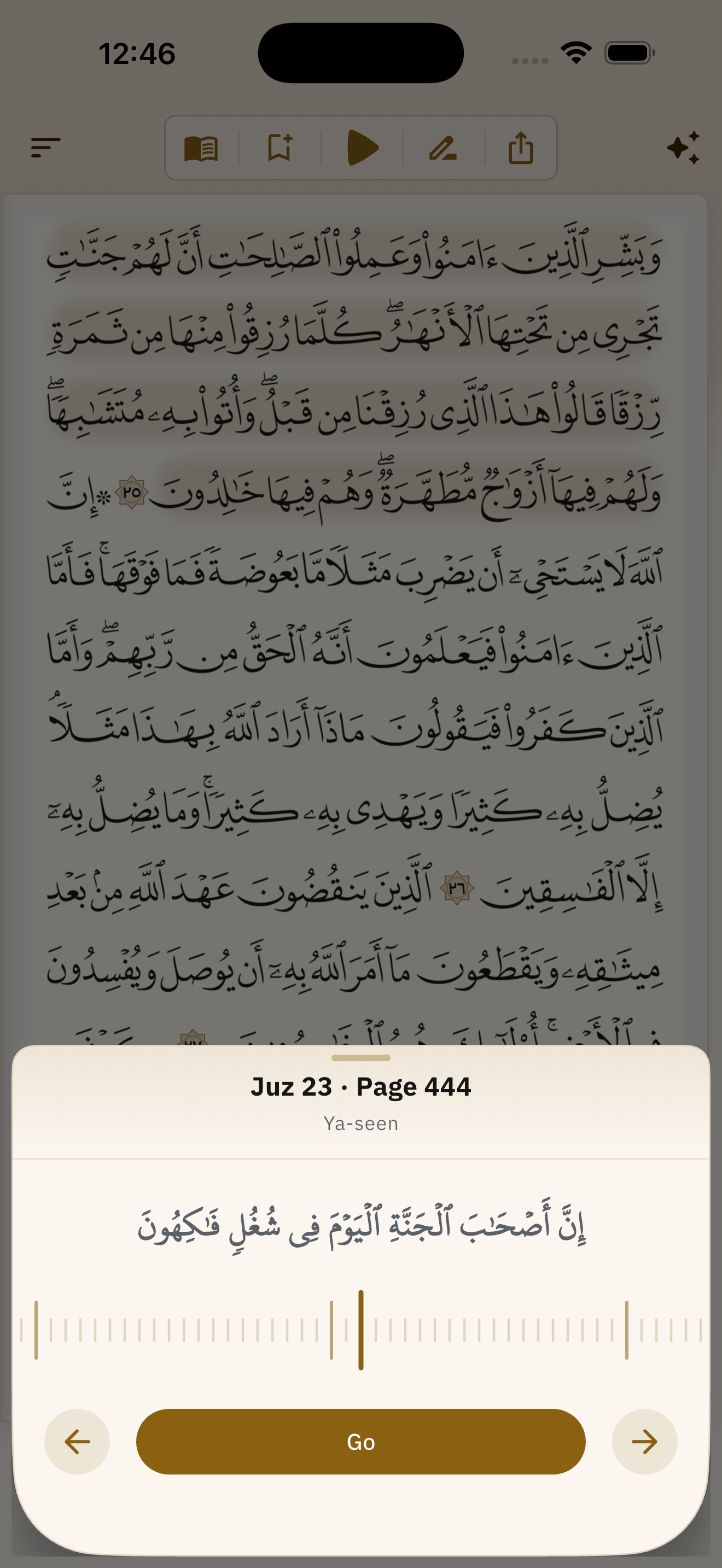 The page picker drawn as a ruler, showing a preview of the page and the juz boundaries