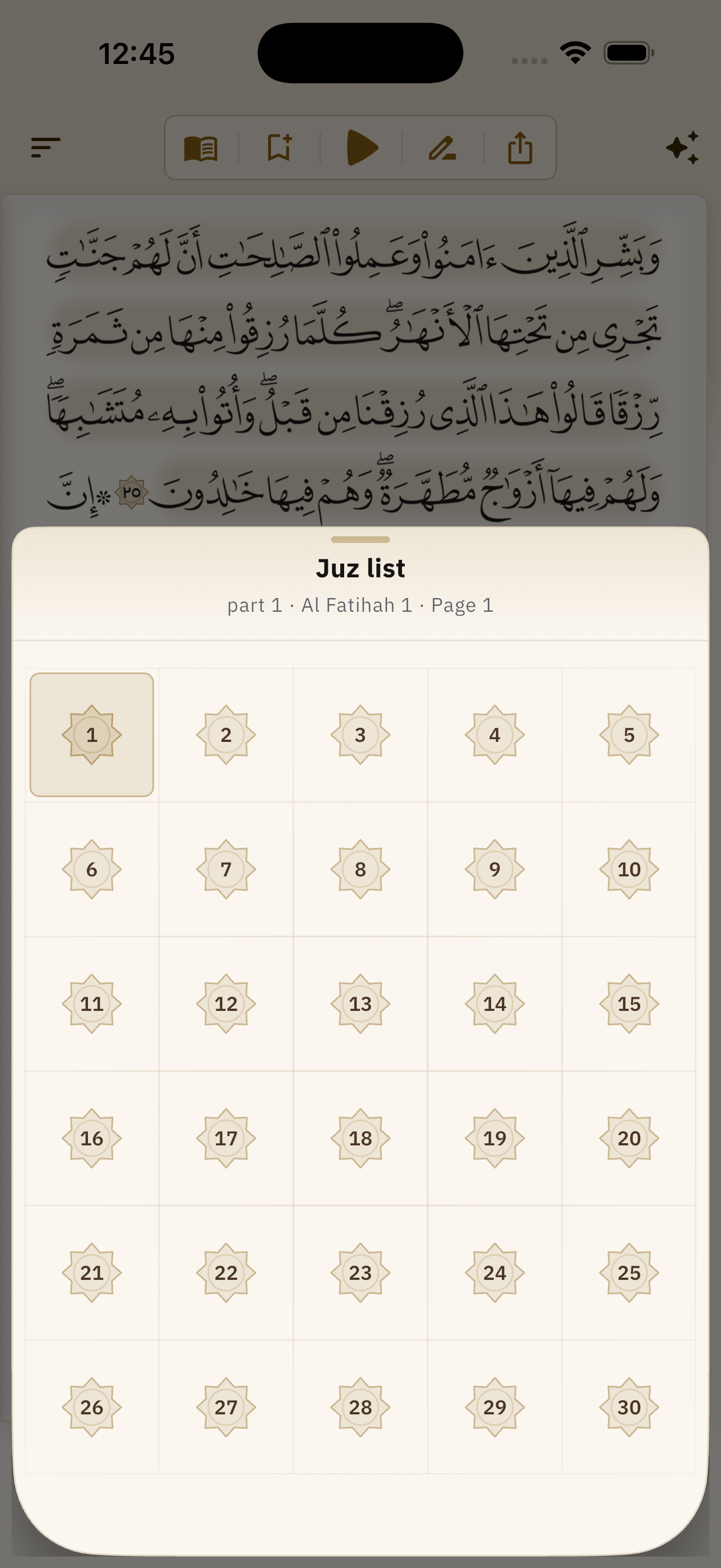 The thirty juz in a single grid, the one you are in marked